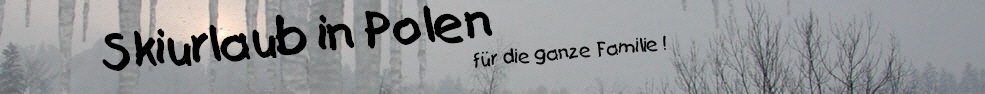 Ferienhaus Skiurlaub Urlaub in Polen